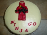 Ninja go